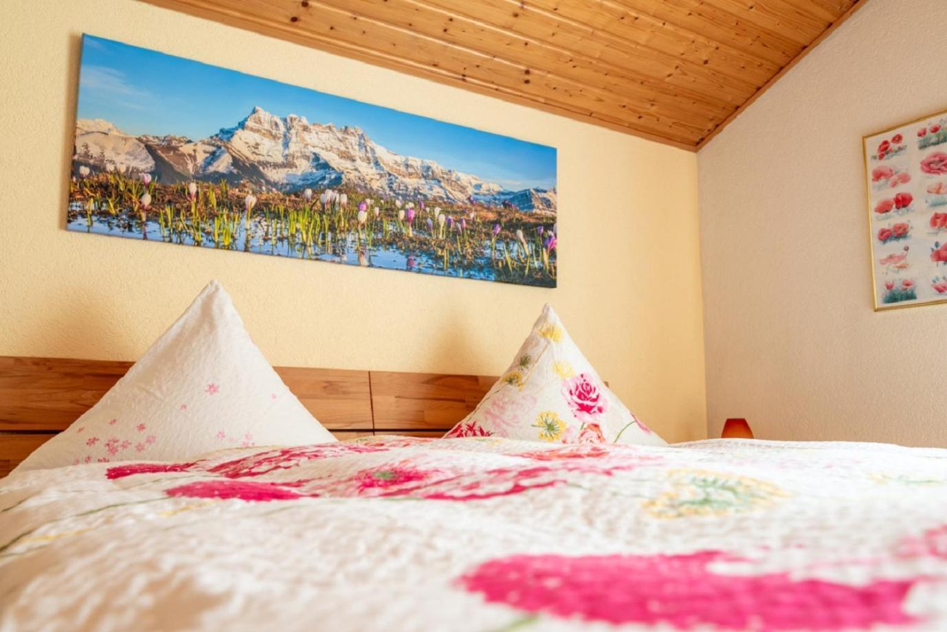 B&B Mon Reve, Petit Dejeuner Bio, Jacuzzi Les Evouettes エクステリア 写真